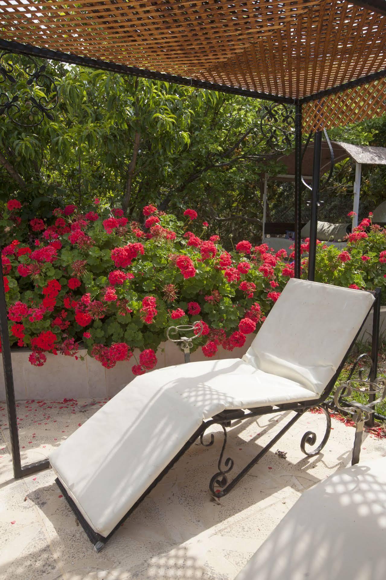 Lapida Garden Hotel Lapithos  Exterior foto